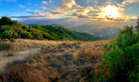 Bay Area